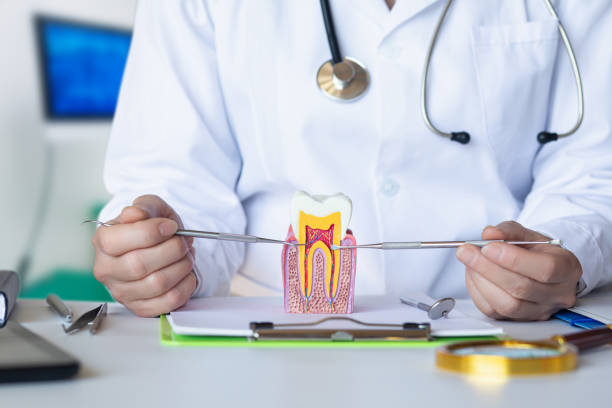 Best Walk-In Emergency Dentist in Gosnell, AR